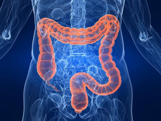 Improve Your Health with Colon Hydrotherapy