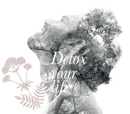 Detox Treatment Healer's Clinic Dubai