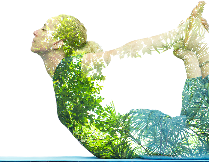Healer's Clinic Dubai